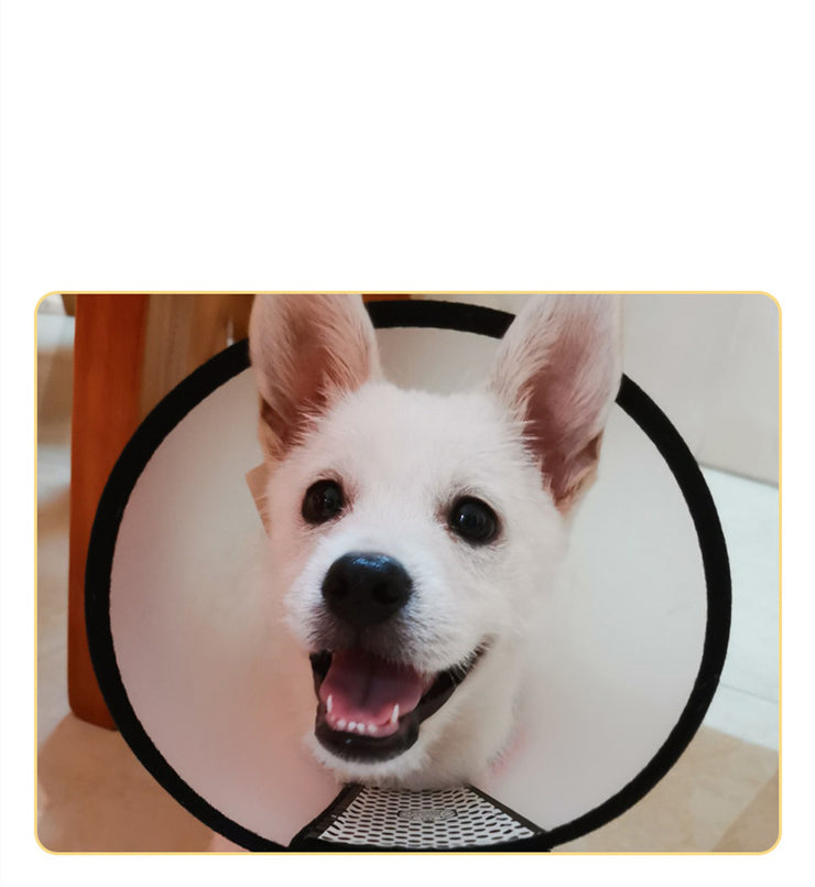 Anti-Licking Cat/Dog cone