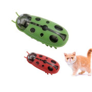 Mini Electric Ladybug Interactive Cat Toy