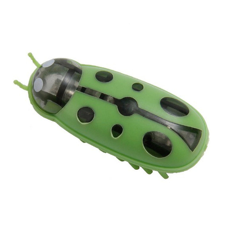 Mini Electric Ladybug Interactive Cat Toy