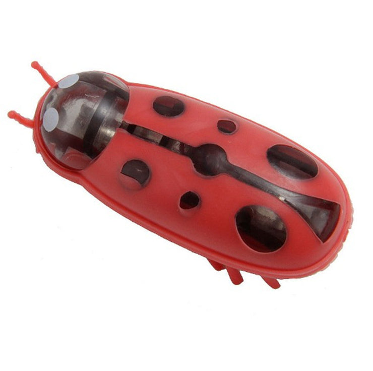 Mini Electric Ladybug Interactive Cat Toy