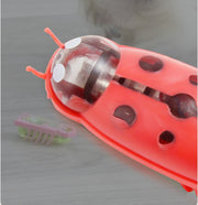 Mini Electric Ladybug Interactive Cat Toy