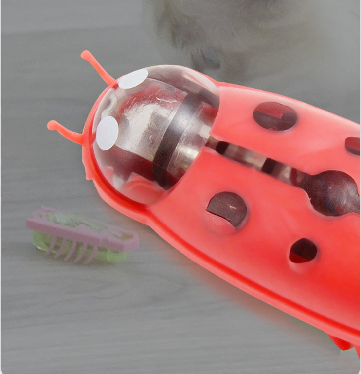 Mini Electric Ladybug Interactive Cat Toy