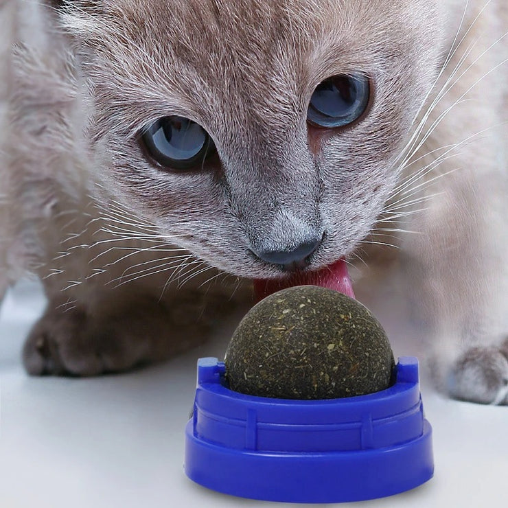 Catnip licking ball