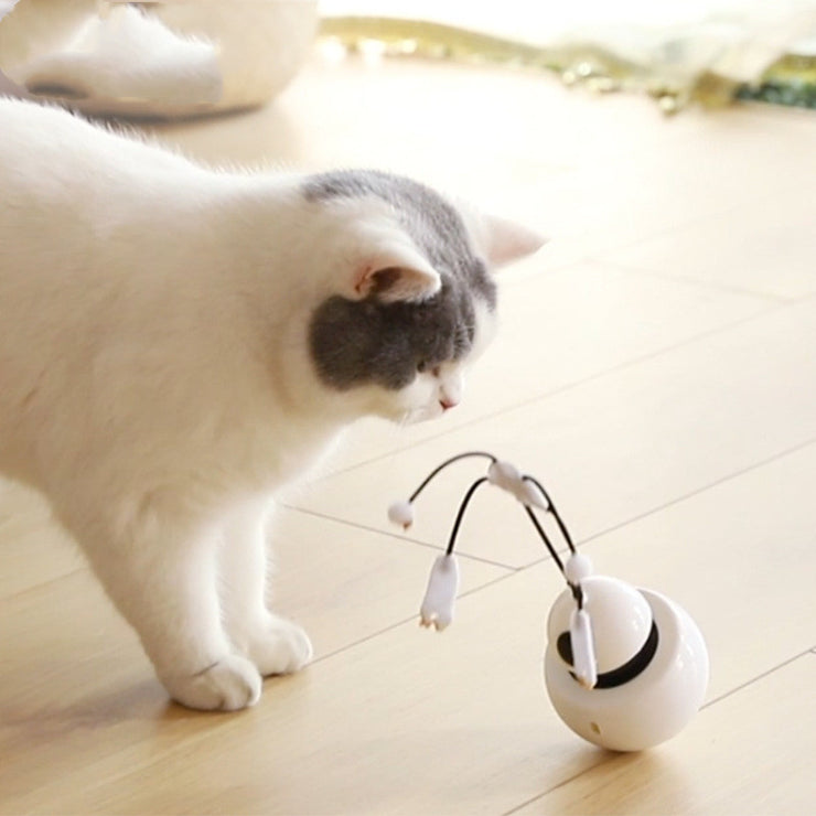 Pivoting cat toy