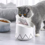 Cats food pot