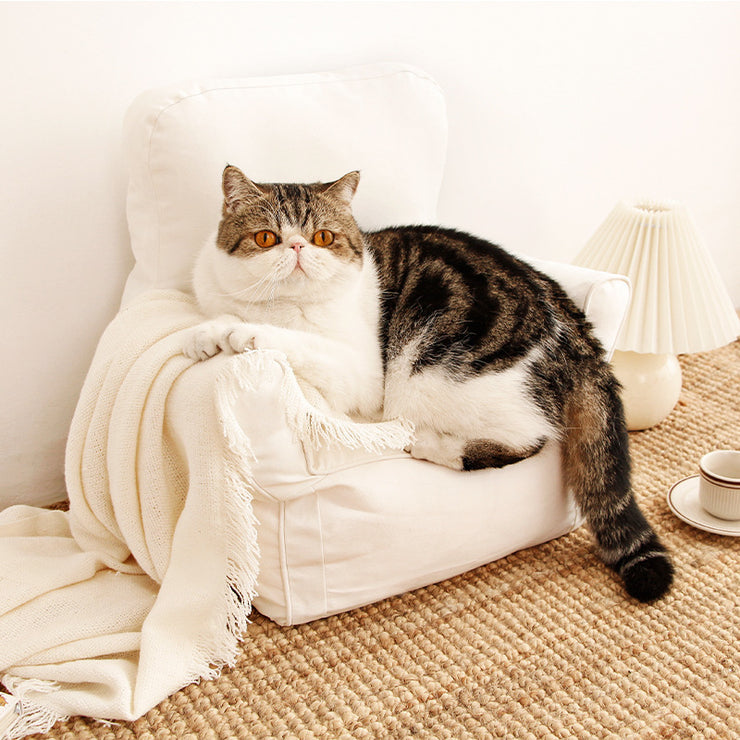 Sofa Cat Pet Bed